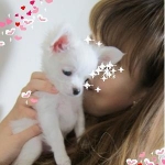 アロハさんのプロフィール画像