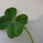 はるなつこさんのプロフィール画像