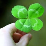 kimaki1234さんのプロフィール画像