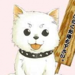 mabu-riさんのプロフィール画像