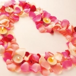 だおさんのプロフィール画像