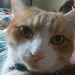 ericaさんのプロフィール画像