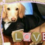 嫁ちゃんさんのプロフィール画像