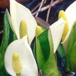 eitorinさんのプロフィール画像