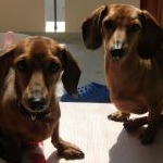 みつばちむぎさんのプロフィール画像