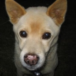 らきおっちさんのプロフィール画像