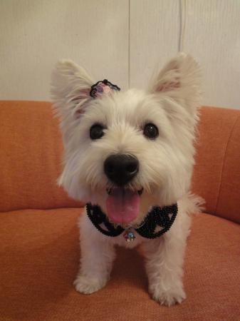 みっきぃさんのプロフィール画像