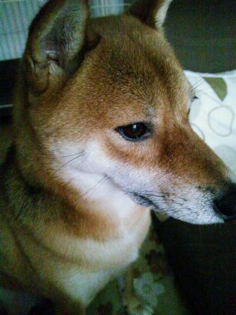 ちゃそさんのプロフィール画像