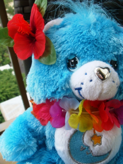 alohanaさんのプロフィール画像