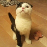 nah*_*aho10*0さんのプロフィール画像