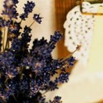 chocomocha66さんのプロフィール画像