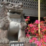 ゆきんこりんごさんのプロフィール画像