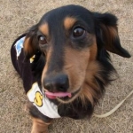 kantaママさんのプロフィール画像