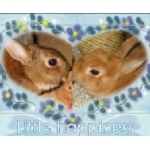 ココモコママさんのプロフィール画像