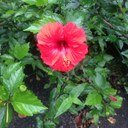 さちもんがらさんのプロフィール画像