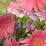 あっかさんのプロフィール画像