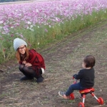 ありんこさんのプロフィール画像