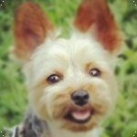 minatonoさんのプロフィール画像