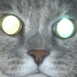 かいまんさんのプロフィール画像