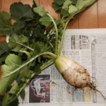 junさんのプロフィール画像