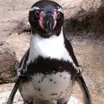 悠早さんのプロフィール画像