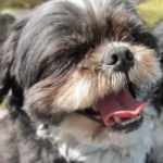 まるさんのプロフィール画像