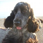 rimanonさんのプロフィール画像