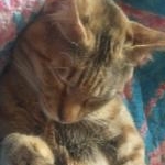 佑さんのプロフィール画像