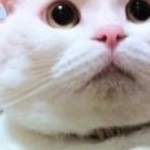 しおさんのプロフィール画像