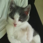 ひだまりさんのプロフィール画像