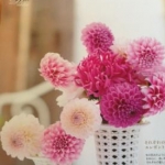 hwahwaさんのプロフィール画像