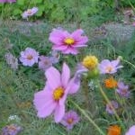 ゆうきさんのプロフィール画像