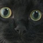 marineさんのプロフィール画像