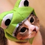 あゆなさんのプロフィール画像