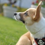 はーとさんのプロフィール画像