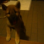 chi**chan61*さんのプロフィール画像