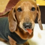 じゅぶろんさんのプロフィール画像