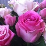 mik*n*dekoさんのプロフィール画像