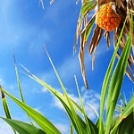 みえのぶさんのプロフィール画像