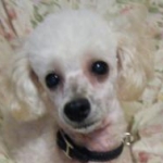 prinさんのプロフィール画像