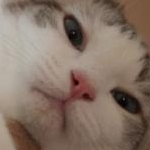 ちびひ～さんのプロフィール画像