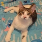 ももたん♪さんのプロフィール画像