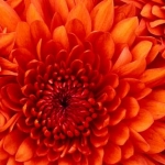 ひでじゅさんのプロフィール画像