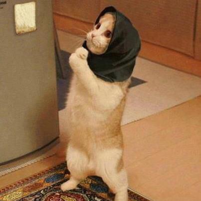 satoさんのプロフィール画像