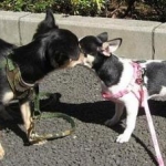 ちゃんさんのプロフィール画像