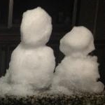 うめっぺさんのプロフィール画像