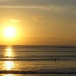 トトロさんのプロフィール画像