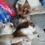 てるchanさんのプロフィール画像