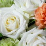 蘭子さんのプロフィール画像