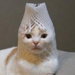 みこひこさんのプロフィール画像